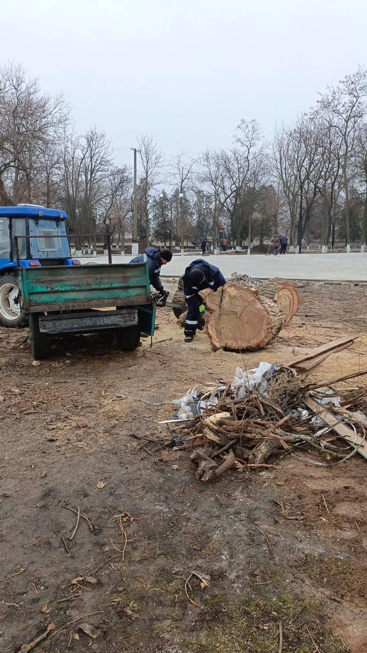 Окупанти знищують дерева на Херсонщині і у Криму