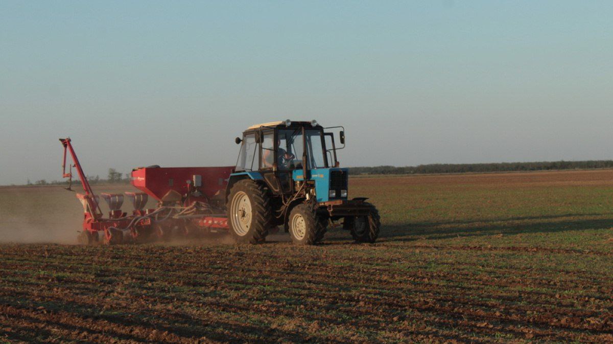 Аграрії на окупованій Херсонщині сіють ярові у сухий ґрунт