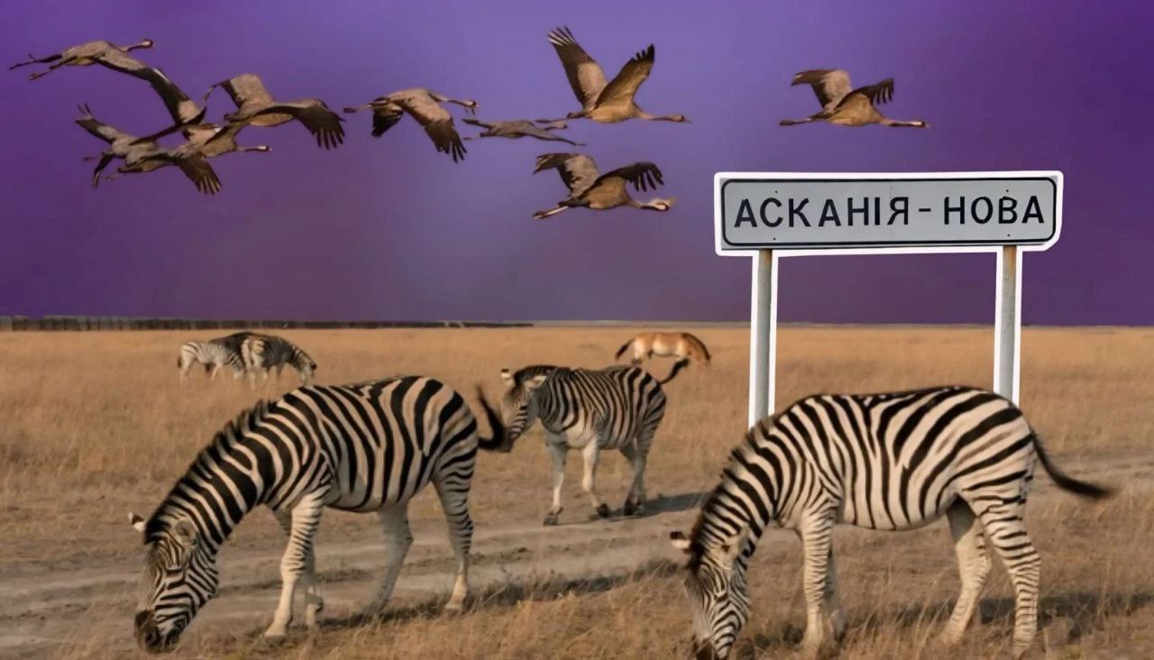 Підрозділ заповідника «Асканія-Нова» запрацює на Одещині